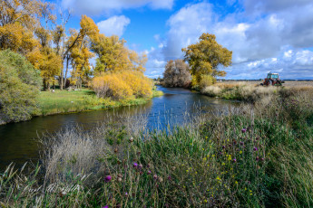 Картинка природа реки озера лес река