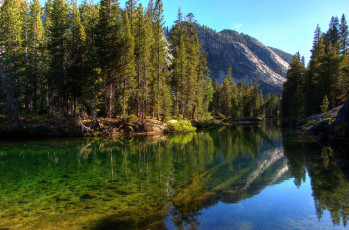 Картинка природа реки озера река лес