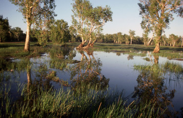 Картинка природа реки озера река лес