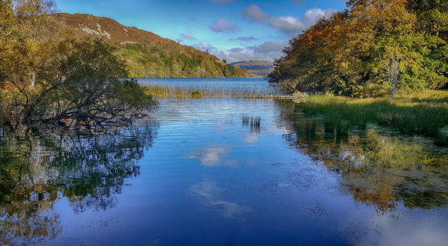 Обои картинки фото природа, реки, озера, река, лес