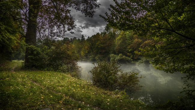 Обои картинки фото природа, реки, озера, река, лес