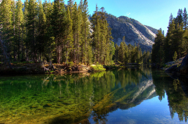 Обои картинки фото природа, реки, озера, река, лес