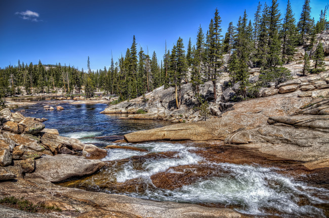 Обои картинки фото природа, реки, озера, лес, река