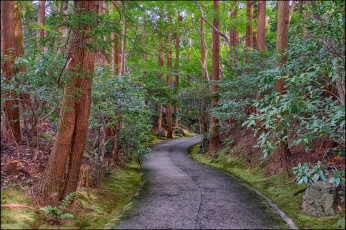 Картинка природа дороги простор