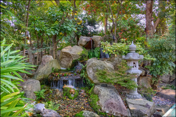 Картинка природа парк простор