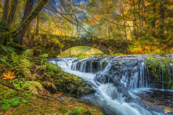 Картинка природа реки озера простор