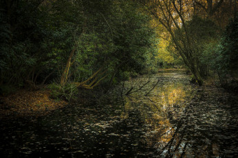 Картинка природа реки озера простор