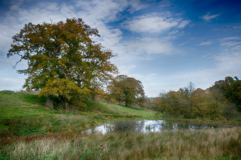 Картинка природа реки озера простор