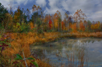 Картинка природа реки озера простор