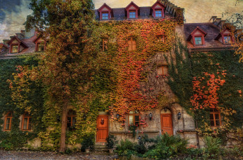 Картинка города -+здания +дома дом дерево плющ