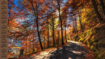 Картинка календари природа деревья дорога 2018