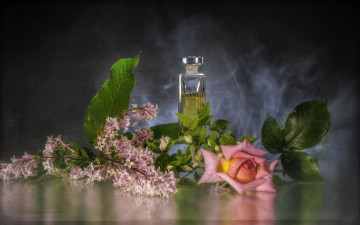 обоя бренды, chanel, духи, сирень, роза, коллаж