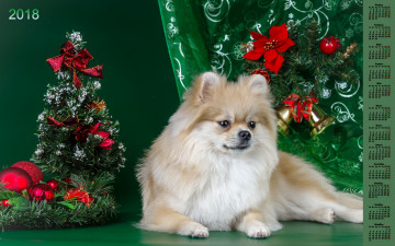 обоя календари, животные, елка, собака, 2018, игрушка, взгляд
