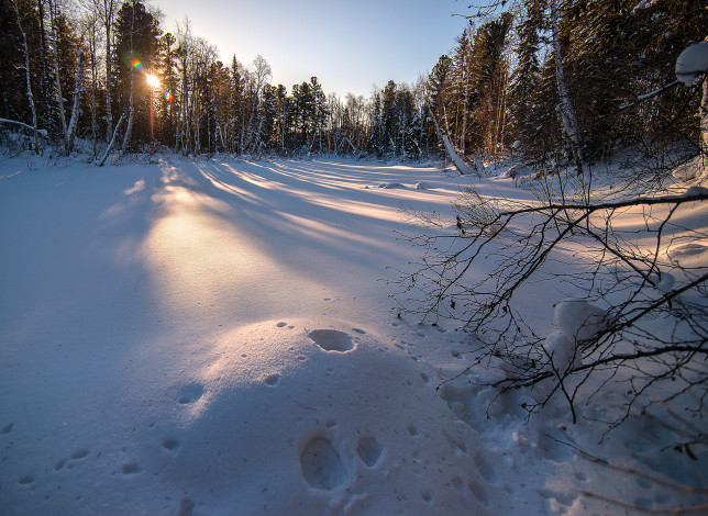 Обои картинки фото природа, зима, простор