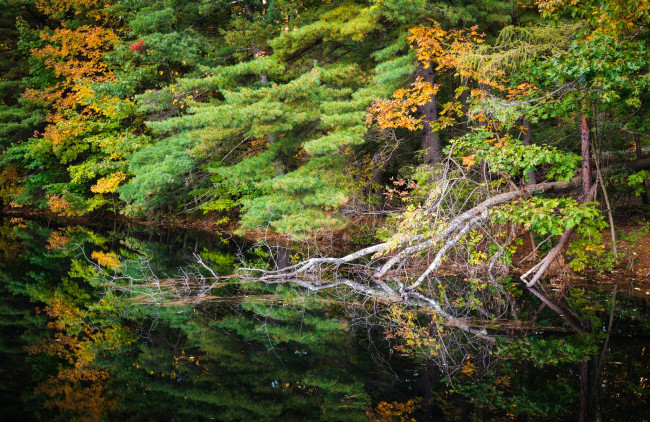 Обои картинки фото природа, реки, озера, простор