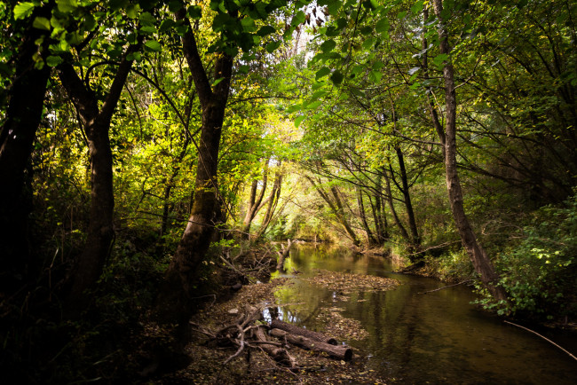 Обои картинки фото природа, реки, озера, простор