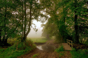 Картинка природа дороги простор