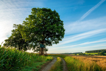 Картинка природа дороги простор