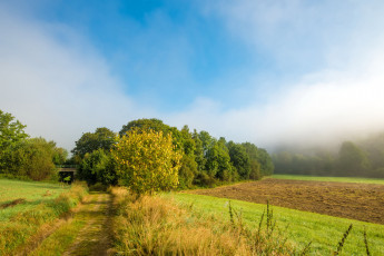 Картинка природа пейзажи простор