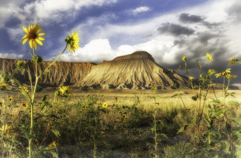 Картинка природа пейзажи простор