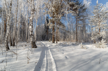 Картинка природа зима простор