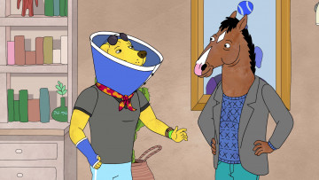 обоя мультфильмы, bojack horseman, bojack, horseman