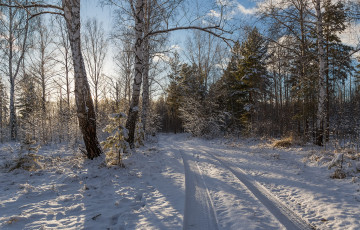 Картинка природа зима простор