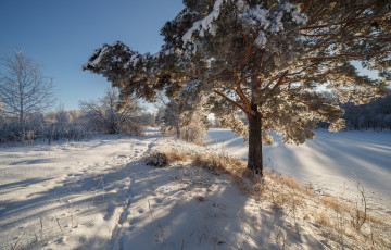 Картинка природа зима простор