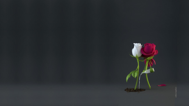 Обои картинки фото рисованное, минимализм, любовь, нежность, роза, чувства, пара, забота, nikita, veprikov, sap, рендериг