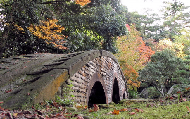 Обои картинки фото города, - мосты, деревья, осень, листья, трава, мост