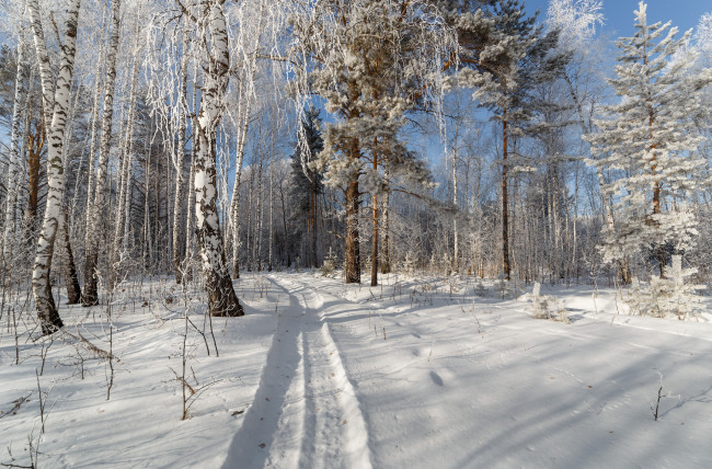 Обои картинки фото природа, зима, простор