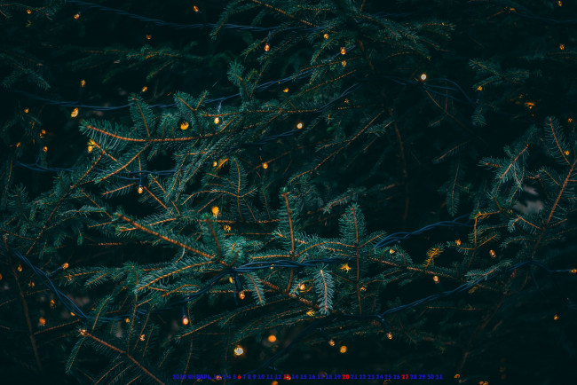 Обои картинки фото календари, праздники,  салюты, елка, гирлянда, ветка