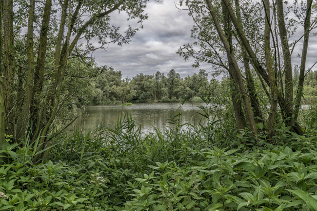 Обои картинки фото природа, реки, озера, простор