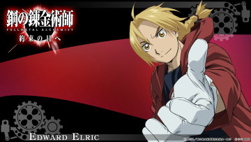 Картинка аниме fullmetal+alchemist ученый эдвард edward алхимик elric парень