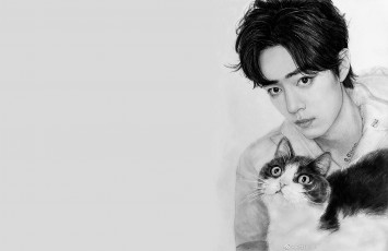 Картинка рисованное люди сяо джань лицо кошка