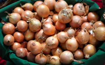 обоя еда, лук, репчатый, много, урожай