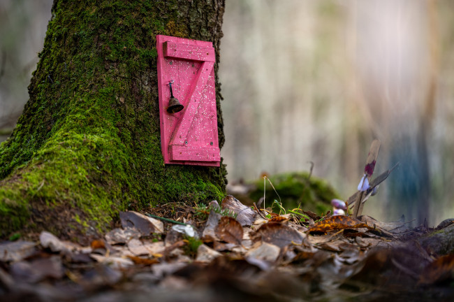 Обои картинки фото разное, - другое, пейзаж