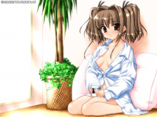 Картинка аниме *unknown другое