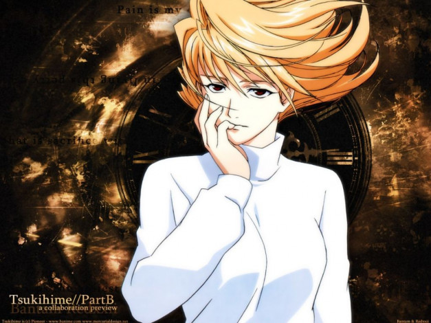 Обои картинки фото аниме, tsukihime