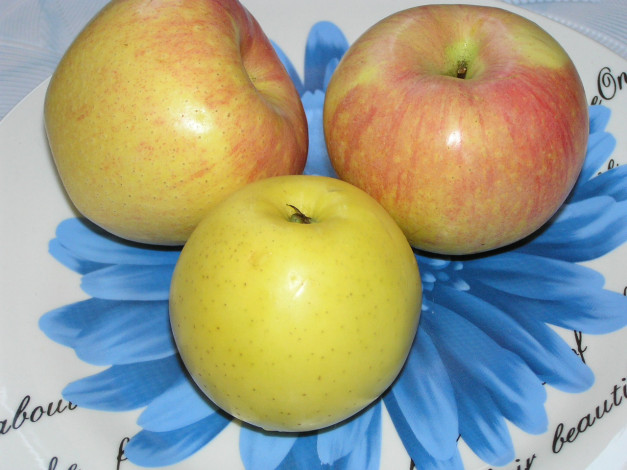 Обои картинки фото еда, Яблоки