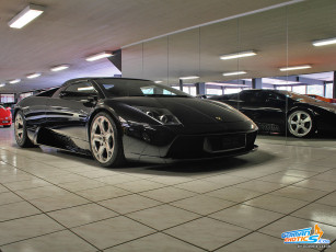 Картинка lamborghini murcielago spider автомобили выставки уличные фото