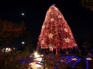 Картинка праздничные