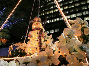 Картинка праздничные