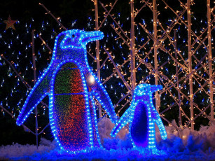 Картинка праздничные