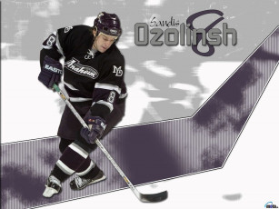 Картинка спорт nhl