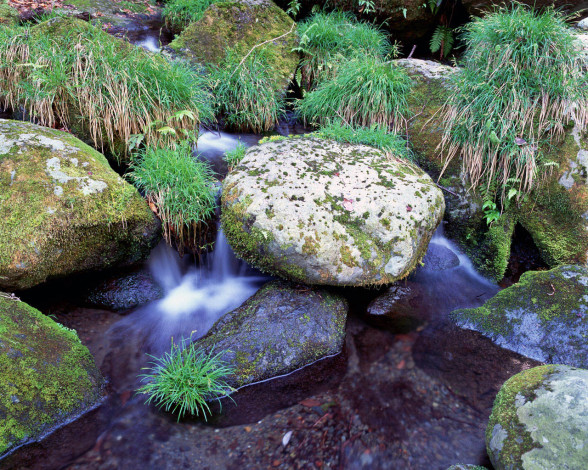 Обои картинки фото 