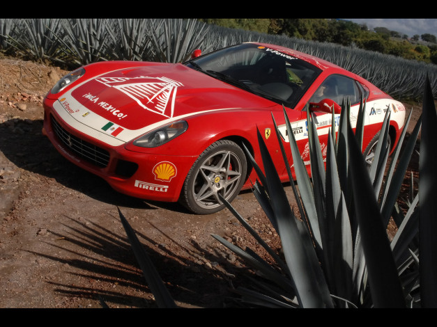 Обои картинки фото 2006, ferrari, 599, автомобили