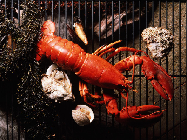 Обои картинки фото еда, рыба, морепродукты, суши, роллы