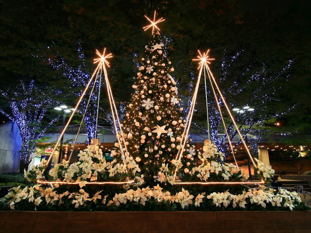 Обои картинки фото праздничные