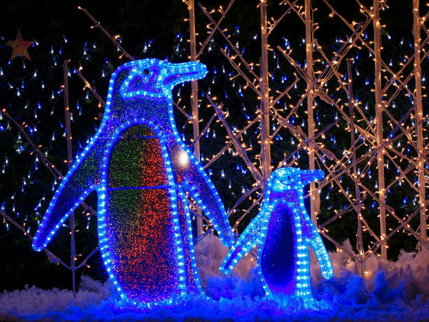 Обои картинки фото праздничные